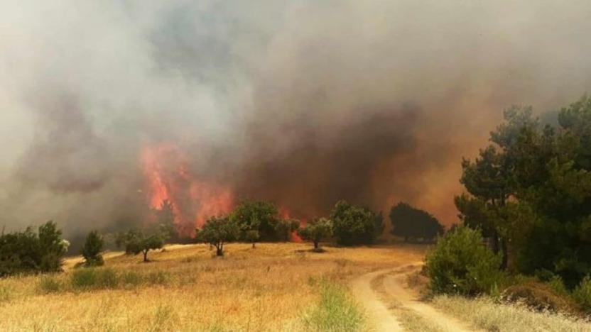 Manisa da orman yangını: 2 gözaltı