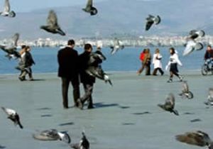 Hava Sıcaklıkları Yükseliyor
