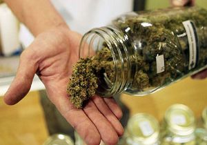 ABD, Bedava Marihuana Veriyor