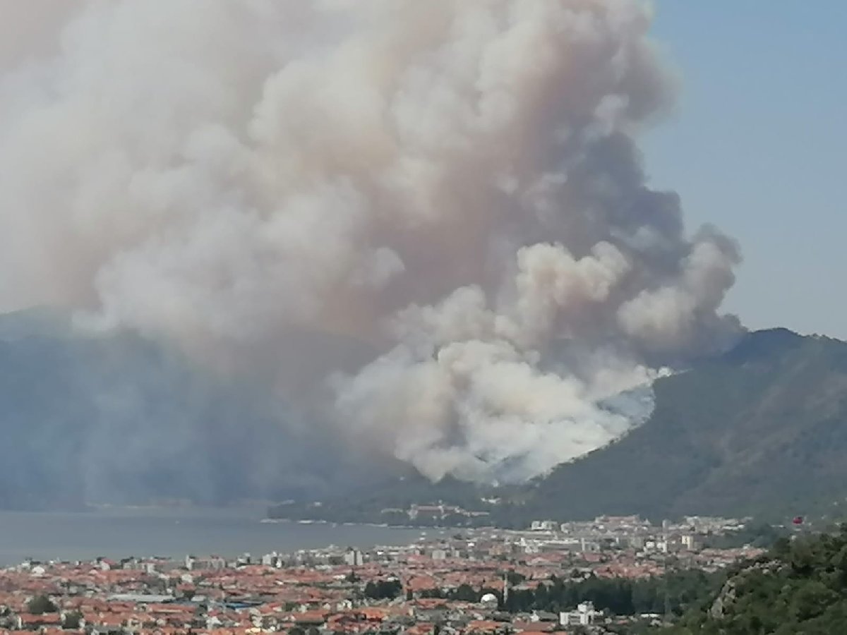 Marmaris te orman yangını