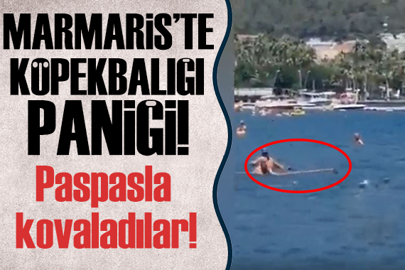 Marmaris te görünen köpekbalığını paspasla kovaladı!