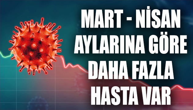 Prof. Dr. Tükek: Artık daha fazla hasta var!