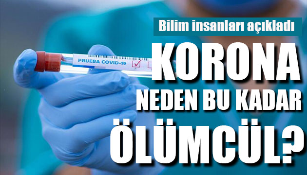 Bilim insanları açıkladı! Korona neden bu kadar ölümcül?