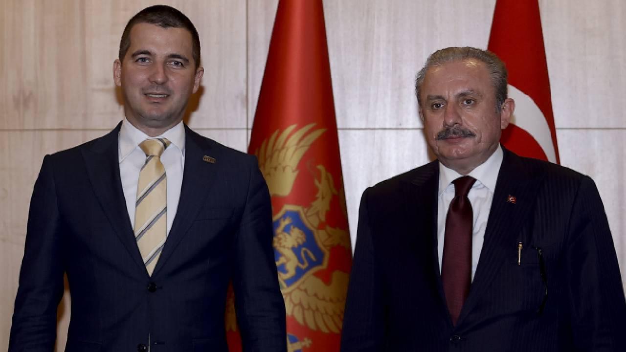 TBMM Başkanı Şentop, Karadağ Parlamento Başkanı Beçiç ile görüştü