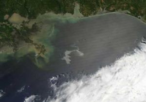 Felaketin Faturası 6,1 Milyar Doları Geçti