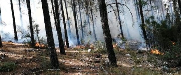 Mersin de orman yangını kontrol altına alındı