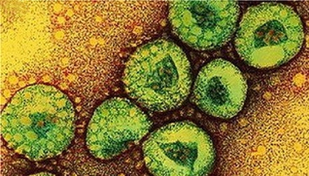 MERS can almaya devam ediyor!