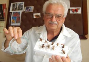 Keneye Karşı İlginç Öneri