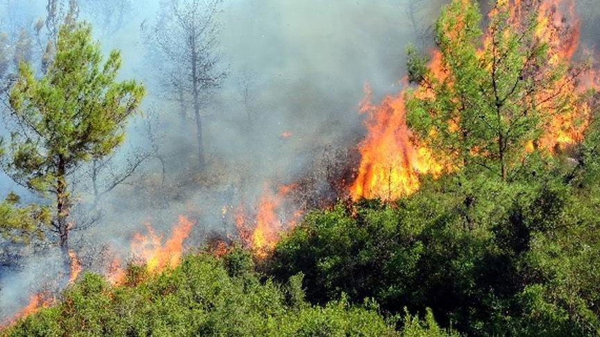 Milas taki yangında 1 kişi tutuklandı