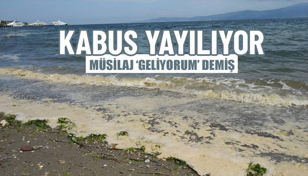 2 yıl önceki TÜBİTAK raporunda kirlilik detayı