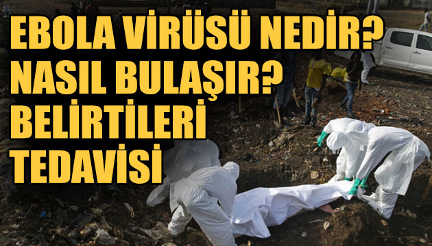 Ebola virüsü nedir, nasıl bulaşır? Belirtileri ve tedavisi