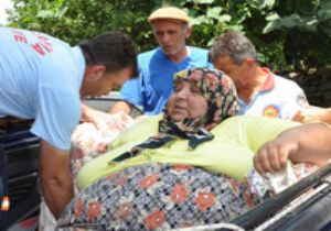 OBEZİTE DE BULAŞICIYMIŞ!