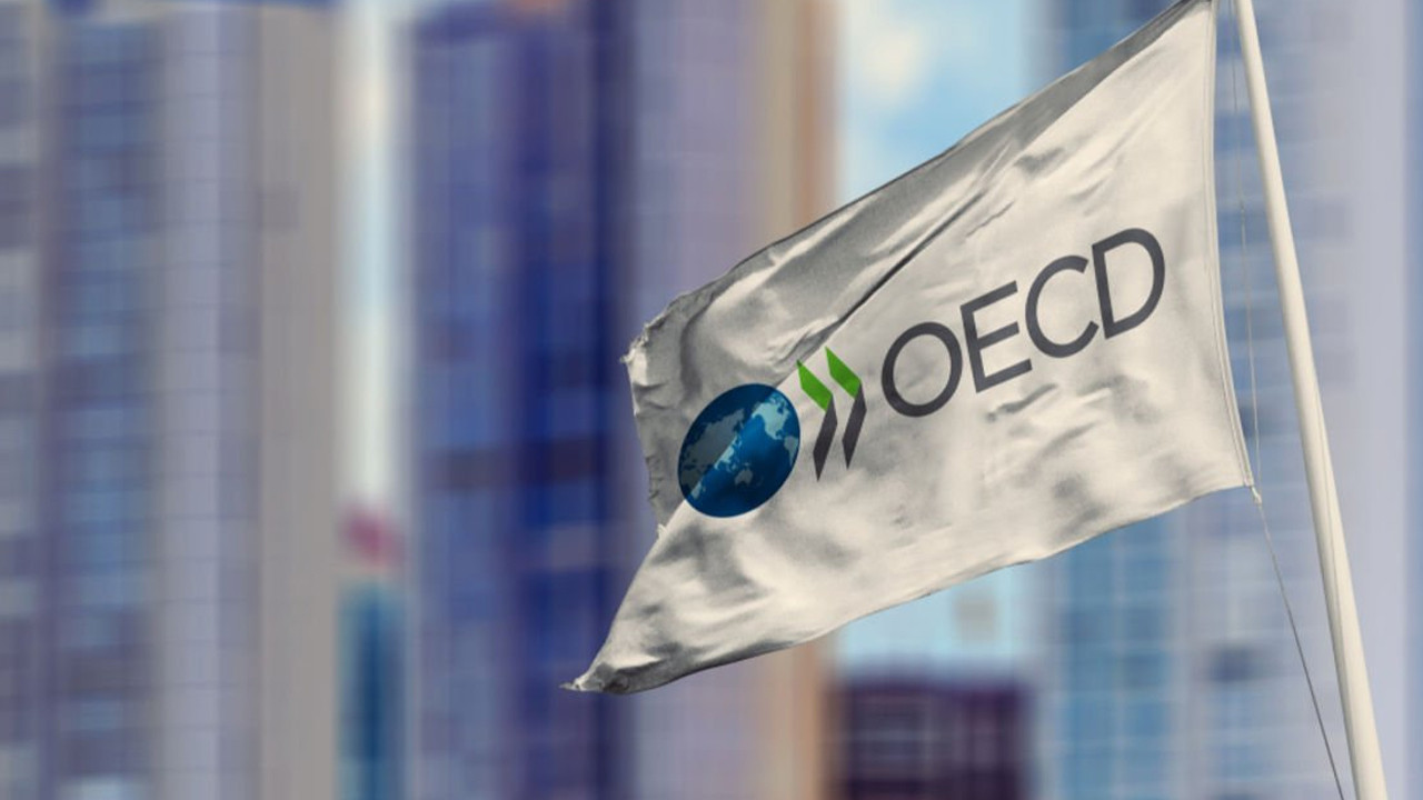 OECD, Türkiye ekonomisinin bu yıl sonunda büyümesini bekliyor