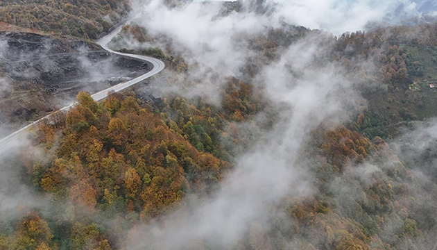 Sonbahar ile sis buluştu