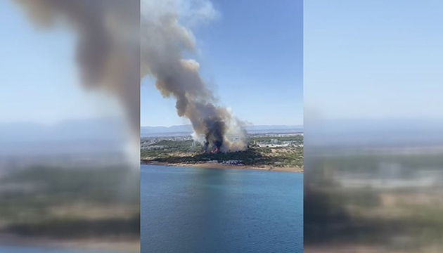 Antalya da orman yangını