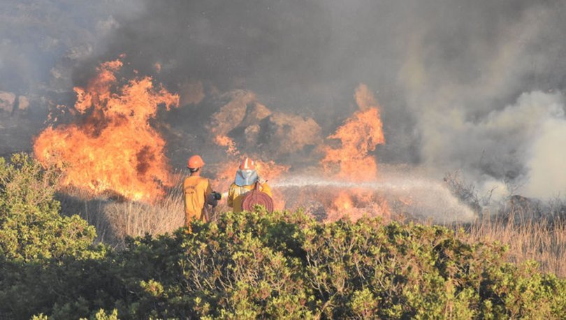 OGM, orman yangınlarında son durumu açıkladı