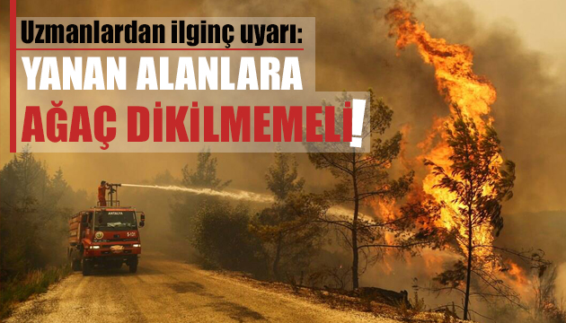 Yanan alanlara ağaç dikilmemeli!