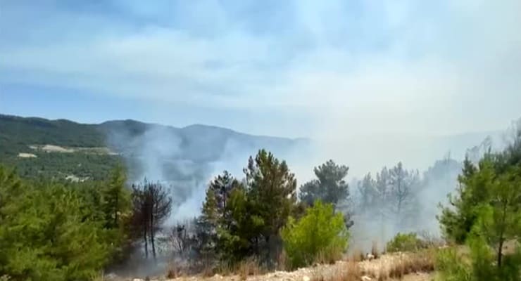 Antalya Akseki de orman yangını!