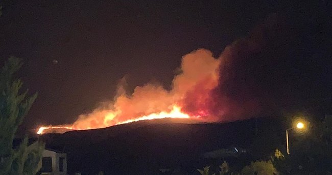 İzmir Çeşme de orman yangını
