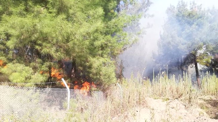 Hatay da bir yangın daha