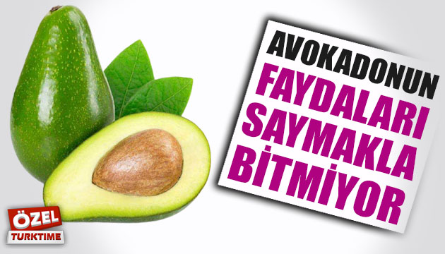 Avokadonun faydaları saymakla bitmiyor!