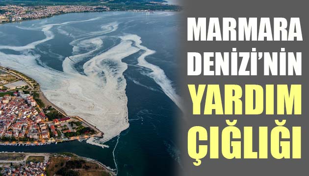 MARMARA DENİZİ NİN YARDIM ÇIĞLIĞI