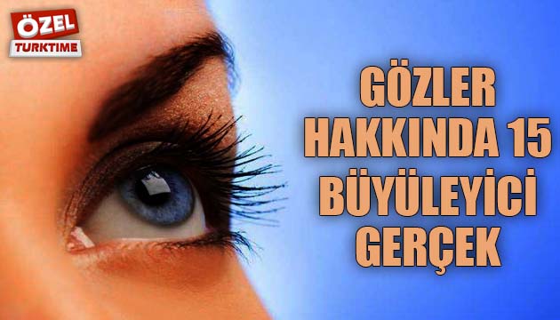 Gözler Hakkında 15 Büyüleyici Gerçek