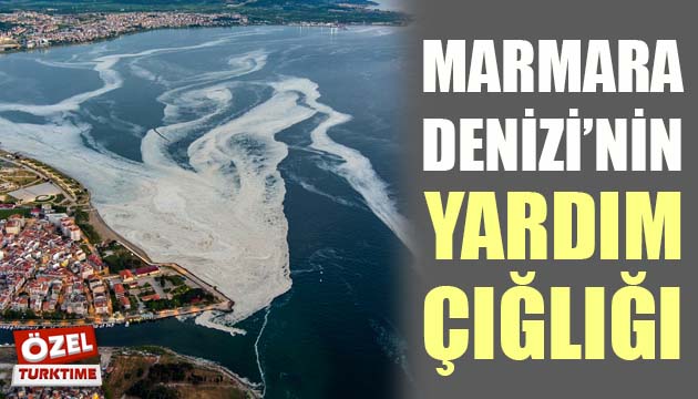 MARMARA DENİZİ NİN YARDIM ÇIĞLIĞI