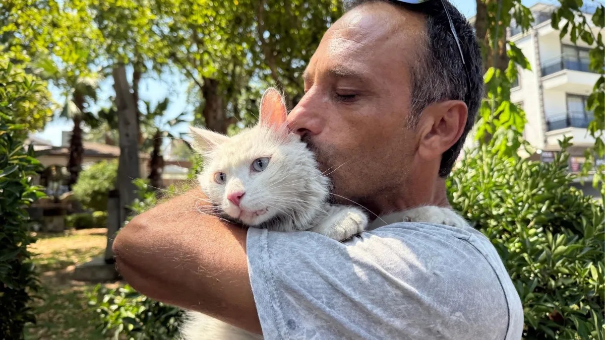 Kayıp kedisini bulunca gözyaşlarına boğuldu