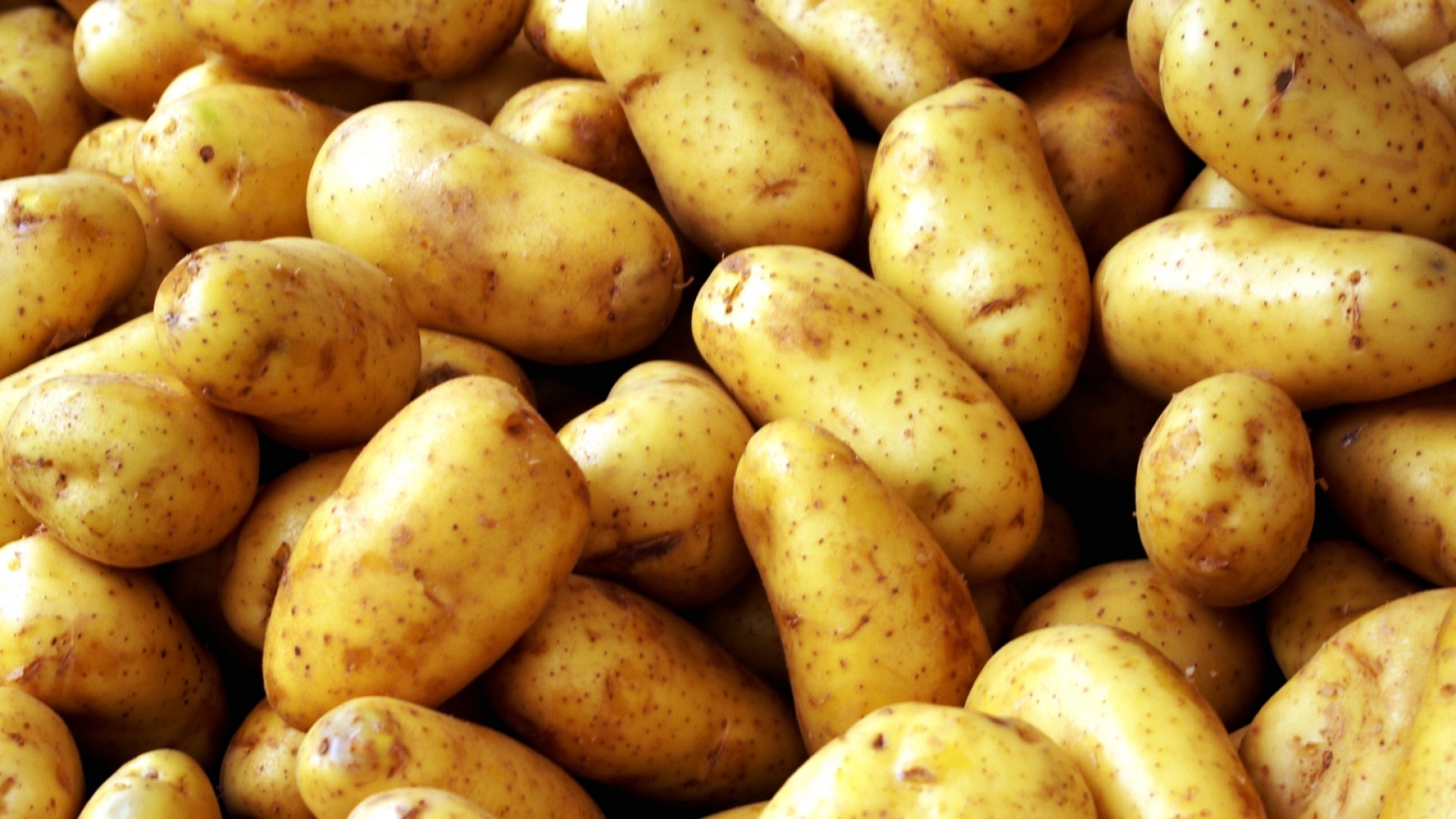 Patates ithal ediliyor iddiasını yanıt geldi