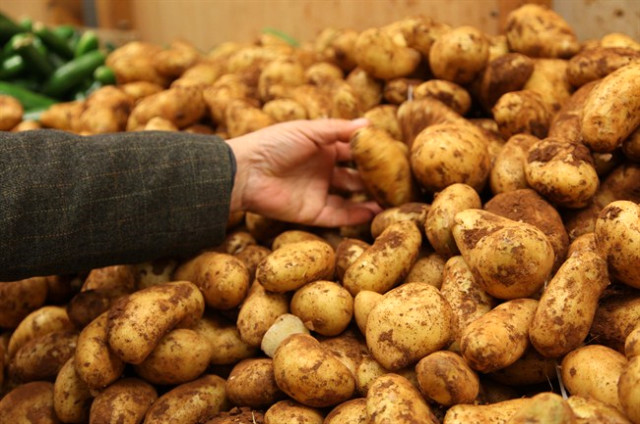 Hızlı kilo vermede patates mucizesi