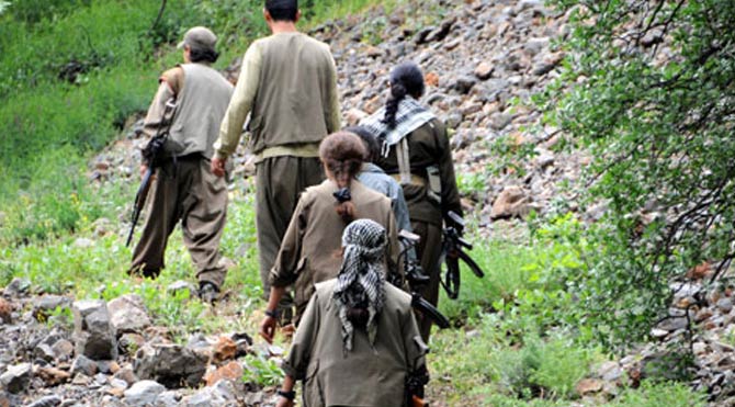 İki PKK lı ikna yoluyla teslim oldu
