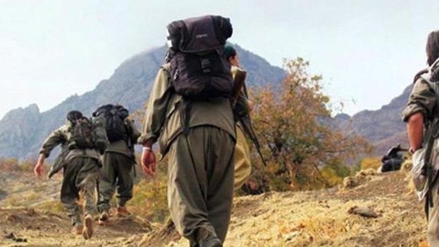 Gri listedeki PKK lı yakayı ele verdi