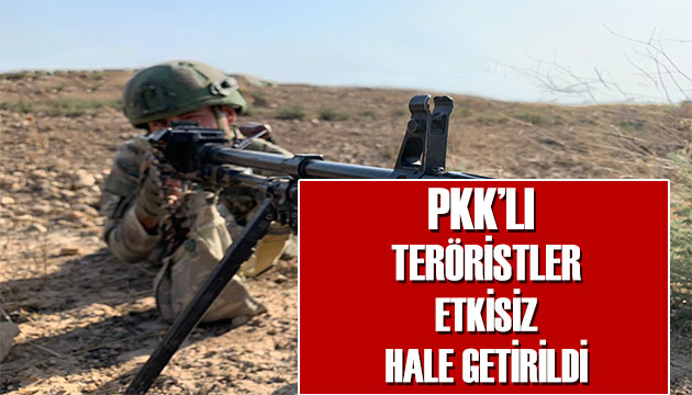 Barış Pınarı bölgesi PKK ya mezar oldu