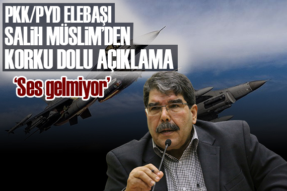 PKK/PYD elebaşı Salih Müslim tutuştu: Dünya ses versin!