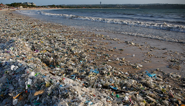 Deniz canlılarının kabusu: Plastik atıklar