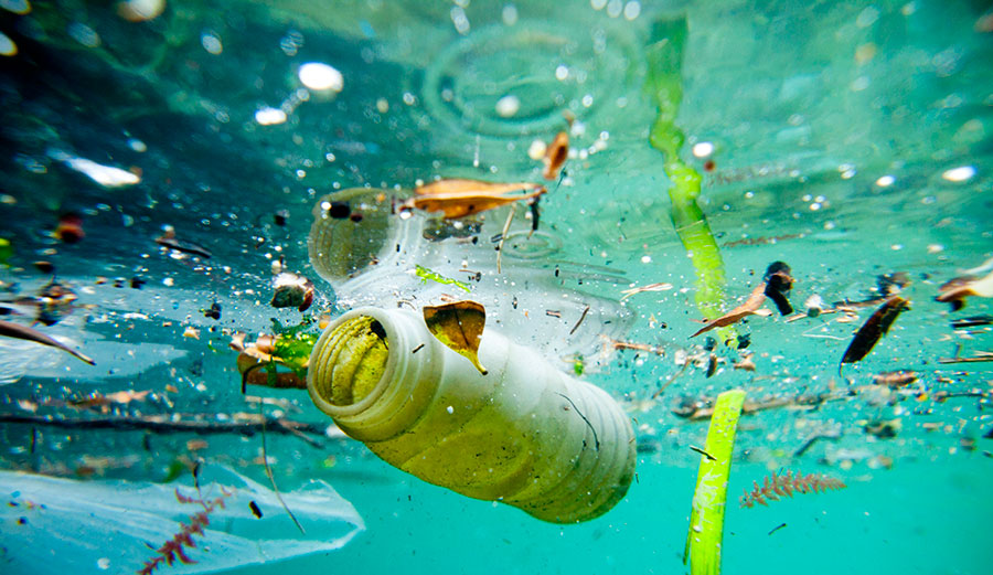 Plastik atıklar en çok İtalya ve Türkiye kıyılarına vuruyor