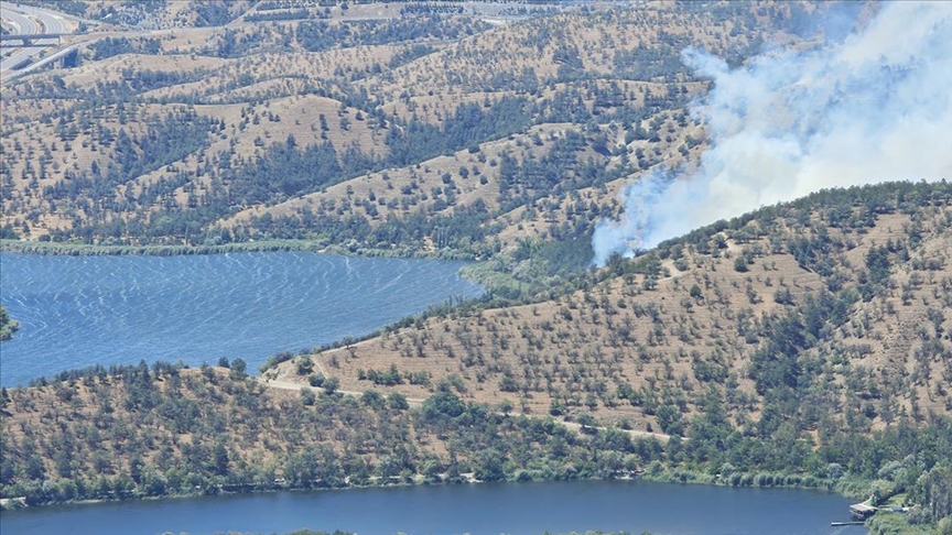 Ankara da orman yangını