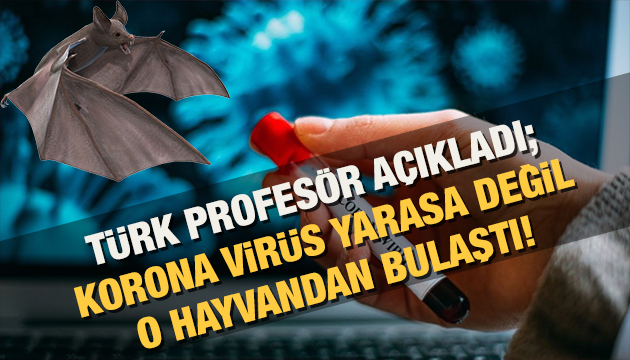 Türk profesör açıkladı: Yarasa değil! Koronavirüs o hayvandan bulaştı...