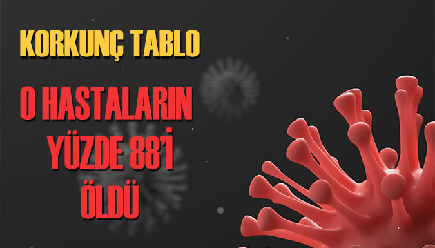 New York ta korkunç tablo yüzde 88 i öldü!