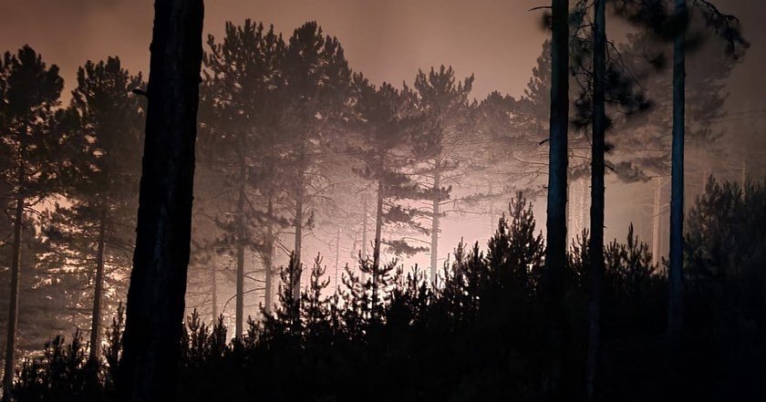 Kütahya’daki orman yangını sürüyor: Ekipler bölgede