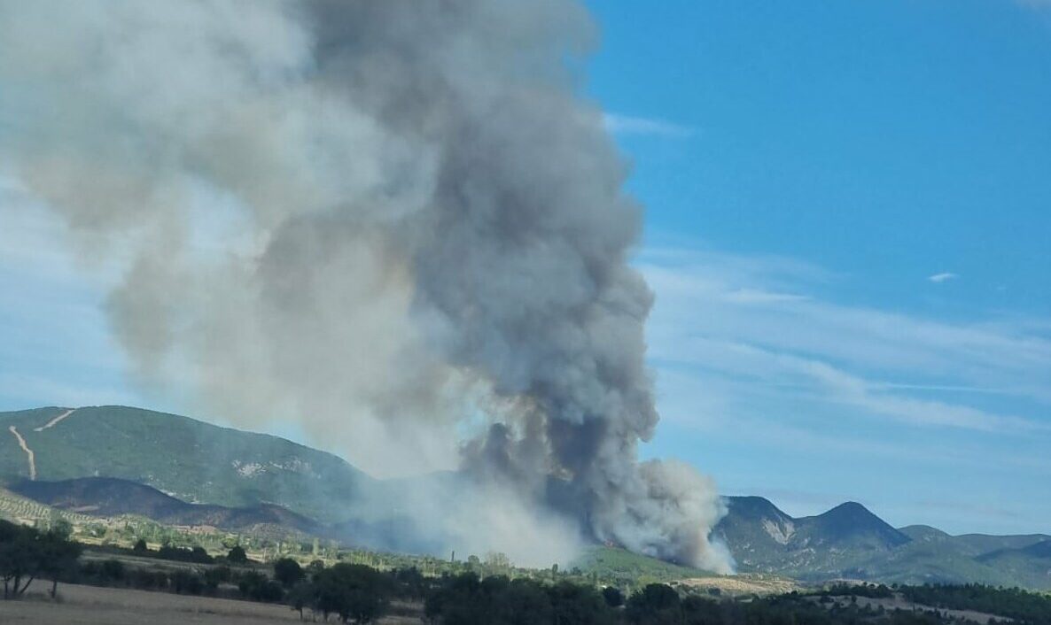 Çanakkale’de orman yangını