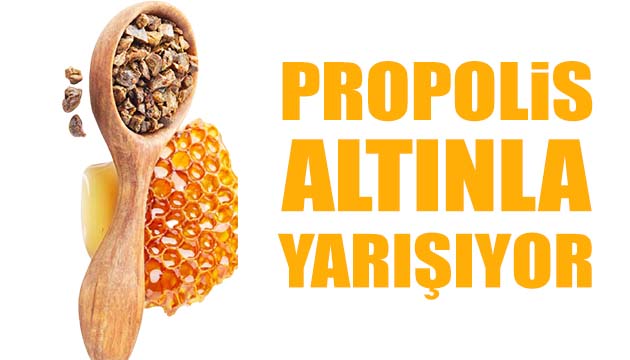 Propolis altından daha değerli