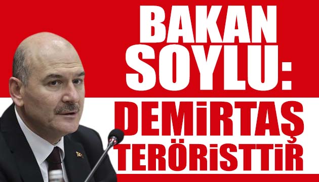 Bakan Soylu: Demirtaş teröristtir!