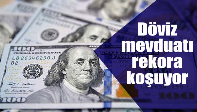 Döviz mevduatları rekora koşuyor