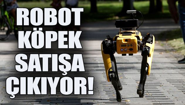 Robot köpek satışa çıkıyor!