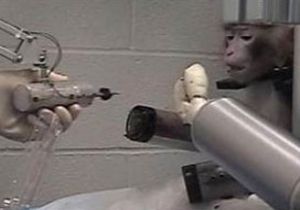Düşünceyle Robot Kol Haraket Etti