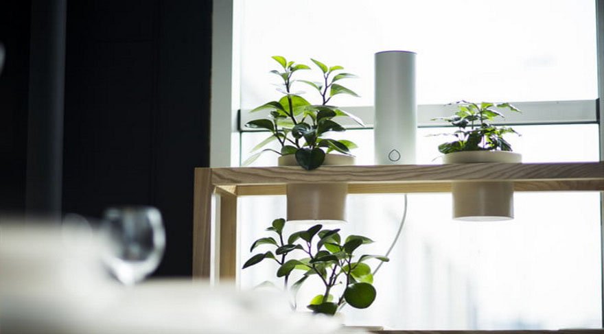 Yokluğunuzda çiçeklerinizi robotlar sulasın