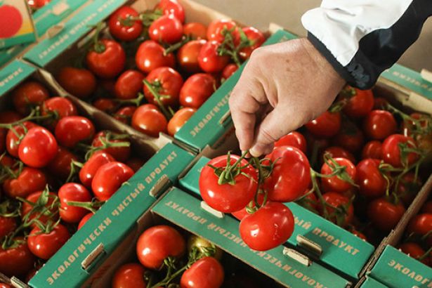 Rusya nın Türkiye den domates kotası 100 bin tona çıktı