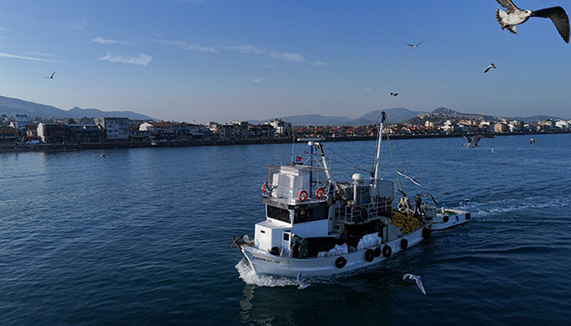 Ege de sardalya bereketi